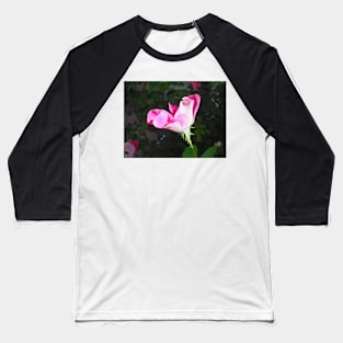 RV Garden Study 5 Baseball T-Shirt